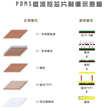 PDMS芯片微結構制備工藝