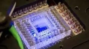 微流控芯片圖 微流控芯片圖