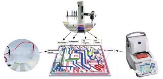 PCR反應,DNA電泳在芯片上的整合 PCR反應,DNA電泳在芯片上的整合