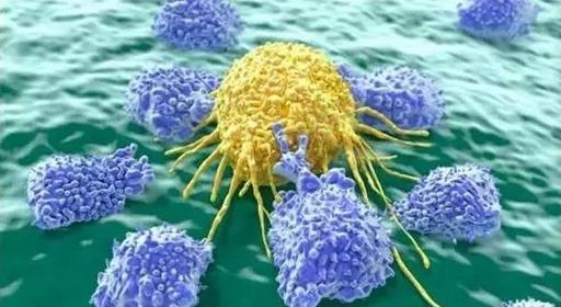 微流控芯片在循環腫瘤細胞中的應用