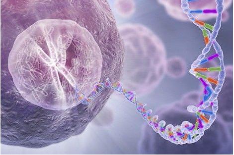 單細胞測序 單細胞測序