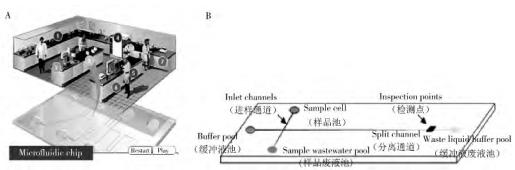 圖 1 微流控芯片的主要功能(A)及常見微流控芯片通道結構(B)