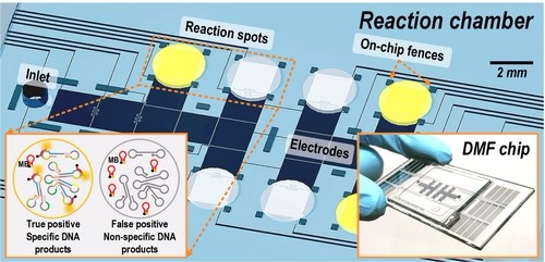 數位微流控系統(tǒng)寄生蟲檢測工具 數位微流控系統(tǒng)寄生蟲檢測工具