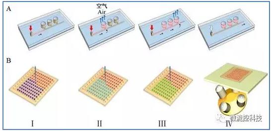 微流控組織陣列芯片上藥物組合篩選流程示意圖 微流控組織陣列芯片上藥物組合篩選流程示意圖