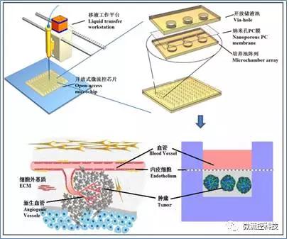 開放式微流控芯片組織陣列系統(tǒng) 開放式微流控芯片組織陣列系統(tǒng)