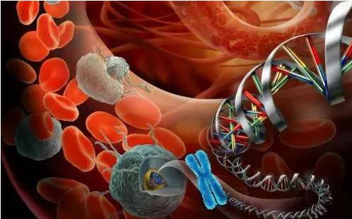 循環(huán)腫瘤細胞(CTC)在精準醫(yī)療領域的應用 循環(huán)腫瘤細胞(CTC)在精準醫(yī)療領域的應用
