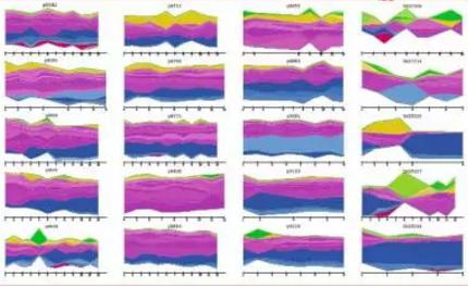 IBD患者腸道里富集的活潑瘤胃球菌