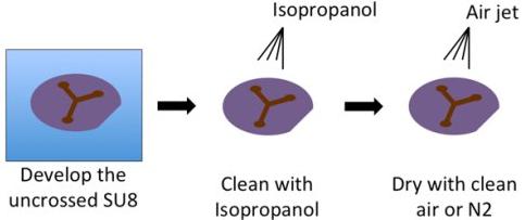 負(fù)性環(huán)氧樹(shù)脂SU-8光刻膠的顯影