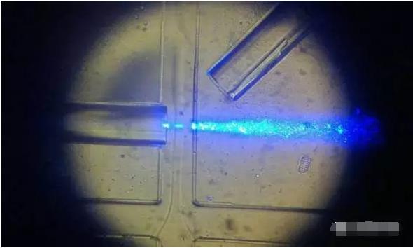 工作中的新型設(shè)備：光纖發(fā)出藍(lán)光，照亮從左向右流動(dòng)的細(xì)胞樣本。（圖片來(lái)源：URV）
