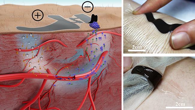 基于電化學雙通道的無創血糖測量方法示意圖和實驗圖。 基于電化學雙通道的無創血糖測量方法示意圖和實驗圖。