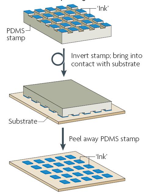 圖 5 微接觸印刷技術的過程
