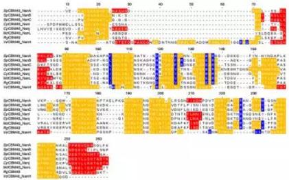 設計PPI治療方案，多考慮點