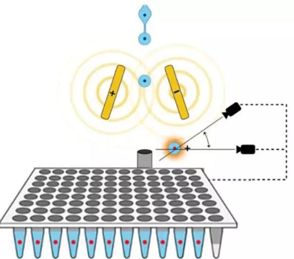 熒光流式分選（FACS）