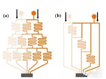 基于微流控系統的分子濃度梯度生成方法 基于微流控系統的分子濃度梯度生成方法