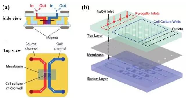 圖2 “薄膜”結構 圖2 “薄膜”結構