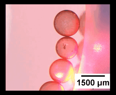 圖4. “齒輪”型液滴機械系統。