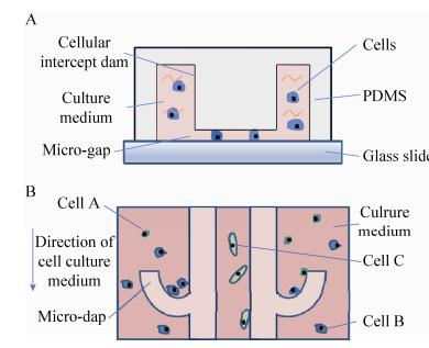 圖 2 芯片結(jié)構(gòu)示意圖 圖 2 芯片結(jié)構(gòu)示意圖