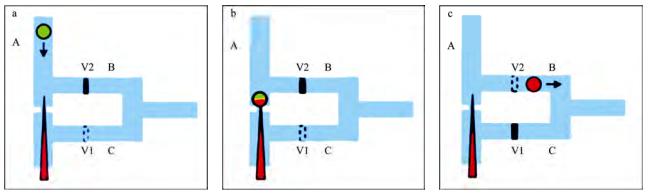 圖2微流控芯片中的單細(xì)胞微注射系統(tǒng)