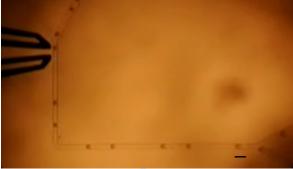 圖3微液滴的生成