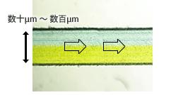 流動微反應優點 流動微反應優點