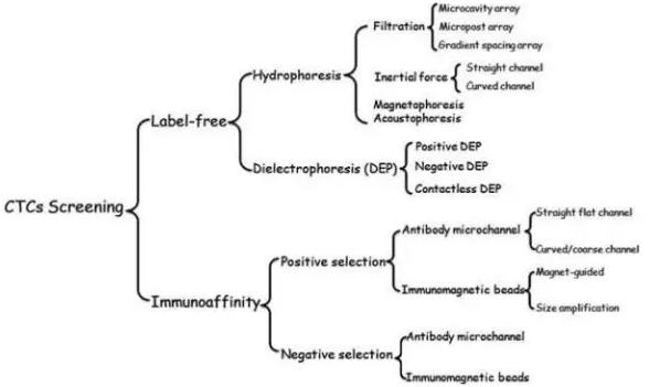圖2:微流控系統分離CTCs的方法 圖2:微流控系統分離CTCs的方法