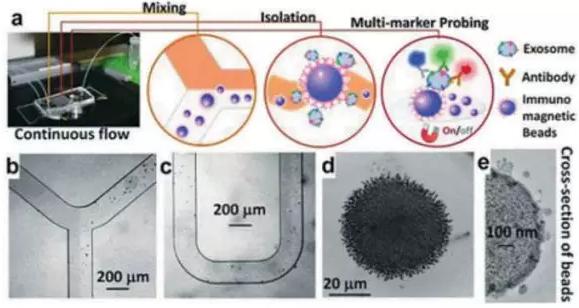 圖4:基于免疫親和原理分析外泌體的微流控系統 圖4:基于免疫親和原理分析外泌體的微流控系統