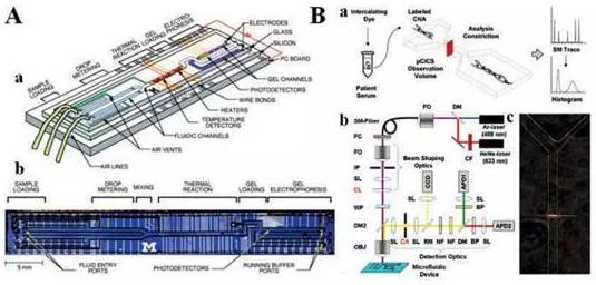 圖5:分析cNAs的微流控系統 圖5:分析cNAs的微流控系統
