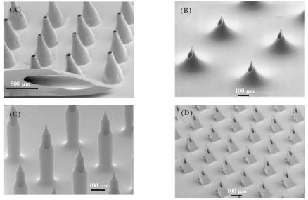圖1不同種類的微針。(A)金屬錐形針(B)中心偏置的火山形針(C)城堡形狀的針頭(D)鋸齒形的針頭