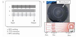 圖2&nbsp; 蛇形通道型 PCR芯片:(A) 平行通道 PCR芯片，(B) 輻射通道 PCR芯片