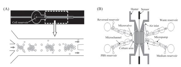 微流控芯片來培養細胞 微流控芯片來培養細胞