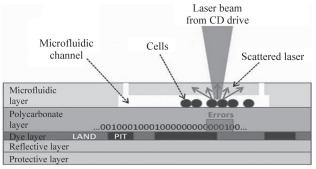 圖4微流控芯片細胞計數研究