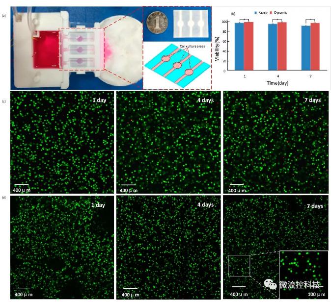 基于該平臺的細胞立體培養 基于該平臺的細胞立體培養