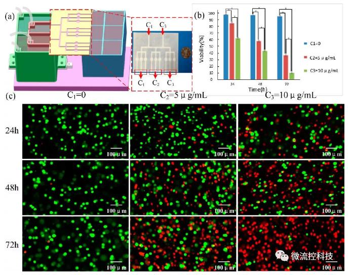基于該平臺的3D腫瘤藥物篩選 基于該平臺的3D腫瘤藥物篩選