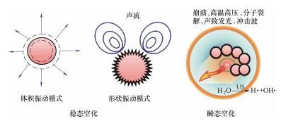 圖2單個氣泡的聲空化行為 圖2單個氣泡的聲空化行為