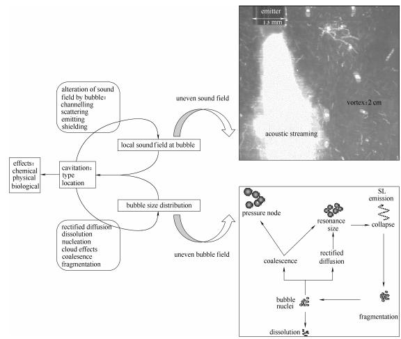 圖3反應器中聲空化行為——復雜聲場和氣泡場的動態耦合 圖3反應器中聲空化行為——復雜聲場和氣泡場的動態耦合