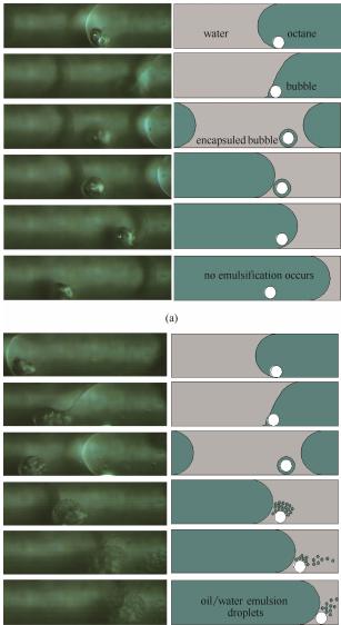 圖8超聲微反應器內的空化致乳效應 圖8超聲微反應器內的空化致乳效應