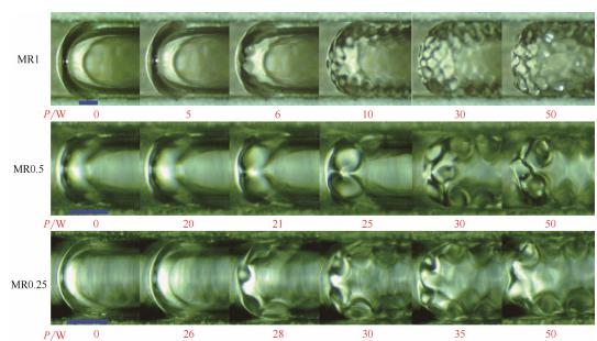 圖9超聲作用下微通道內彈狀氣泡運動行為(標尺250μm) 圖9超聲作用下微通道內彈狀氣泡運動行為(標尺250μm)