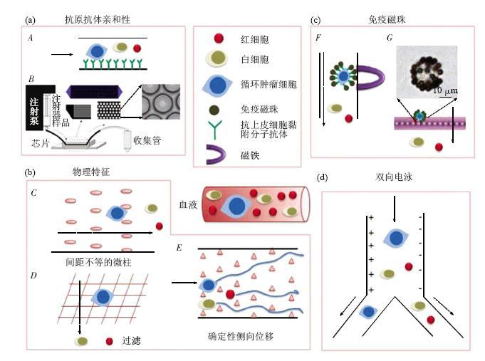 圖1微流控芯片捕獲CTCs各類芯片結構示意圖 圖1微流控芯片捕獲CTCs各類芯片結構示意圖