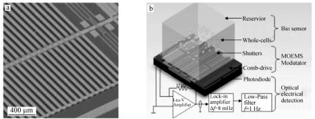圖2整合的微光電機械系統(MOEMS)(a)和細胞傳感生物傳感芯片實驗室系統(b) 圖2整合的微光電機械系統(MOEMS)(a)和細胞傳感生物傳感芯片實驗室系統(b)