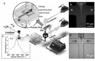 圖3CARS細胞計量檢測系統和芯片上流體聚焦效應 圖3CARS細胞計量檢測系統和芯片上流體聚焦效應