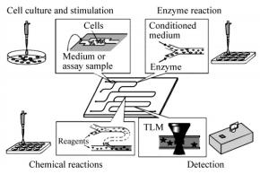 圖5基于微芯片的生物分析系統 圖5基于微芯片的生物分析系統