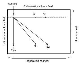 圖5芯片二維分離機理示意圖 圖5芯片二維分離機理示意圖