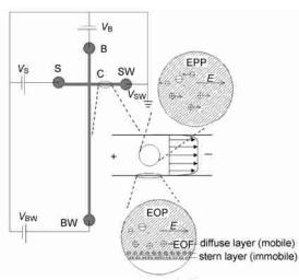 圖1芯片電泳泵和電滲泵示意圖 圖1芯片電泳泵和電滲泵示意圖