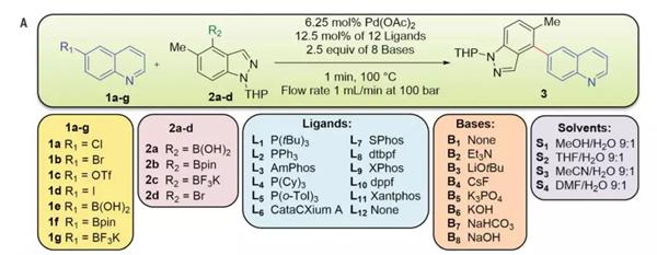 Suzuki-Miyaura偶聯(lián)反應(yīng)模型（圖片來源：《科學(xué)》）
