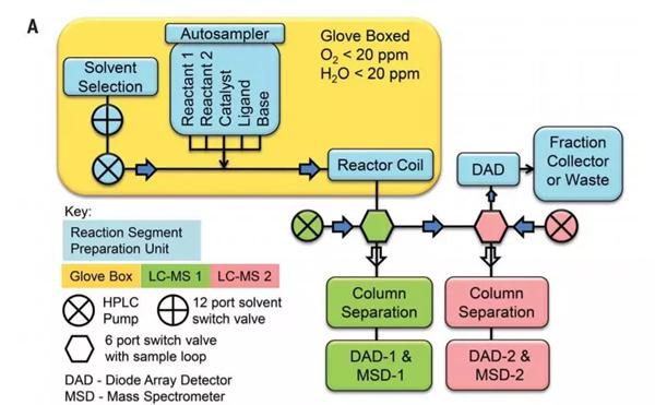 連續(xù)流平臺的自動取樣-反應(yīng)-分析平臺示意圖。考慮到待測的化學(xué)物質(zhì)可能對空氣和濕度敏感，作者將反應(yīng)器組裝在手套箱環(huán)境中（圖片來源：《科學(xué)》）