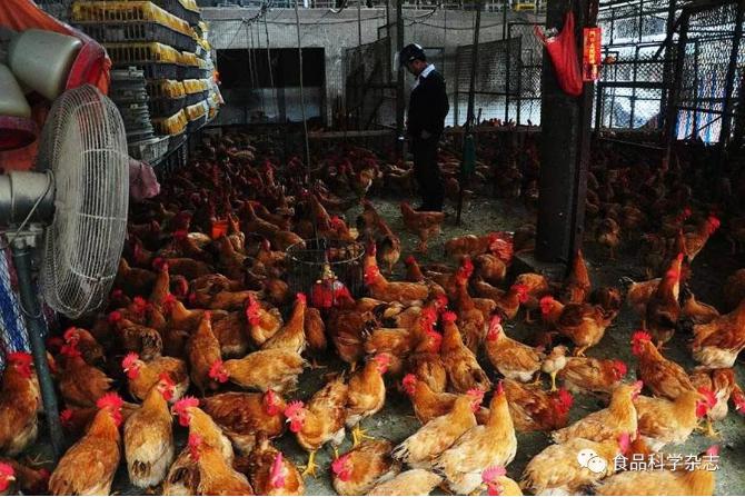 食品中抗病毒類藥物殘留檢測方法研究進(jìn)展 食品中抗病毒類藥物殘留檢測方法研究進(jìn)展