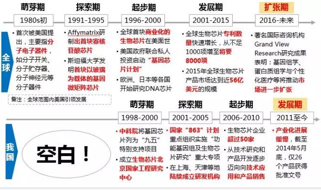 圖3.全球及我國生物芯片發展歷程