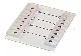 細胞培養(yǎng)微流控芯片 細胞培養(yǎng)微流控芯片