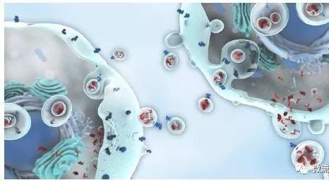 眾望所歸,液體活檢技術(shù)將迎來(lái)全新發(fā)展時(shí)代 眾望所歸,液體活檢技術(shù)將迎來(lái)全新發(fā)展時(shí)代