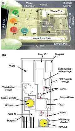 聚碳酸酯微流體盒，其中袋填充染料更好的可視化，他們被設(shè)計(jì)來存儲(chǔ)各種試劑和緩沖區(qū)